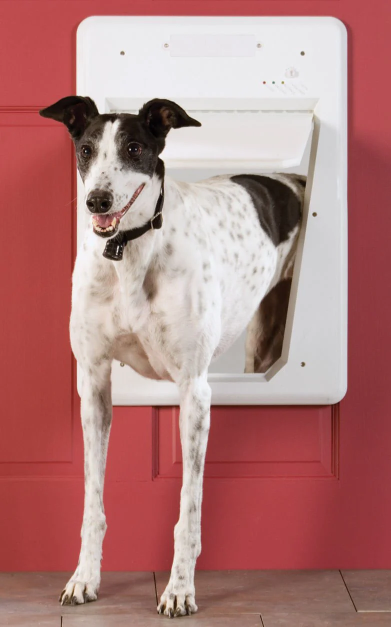 PetSafe Electronic Smart Dog Door