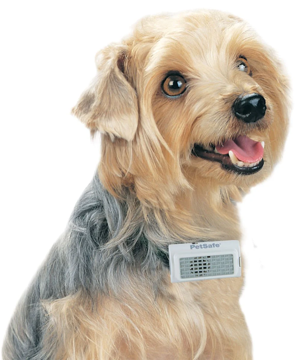 PetSafe Ultrasonic Bark Control Collar - Image 1