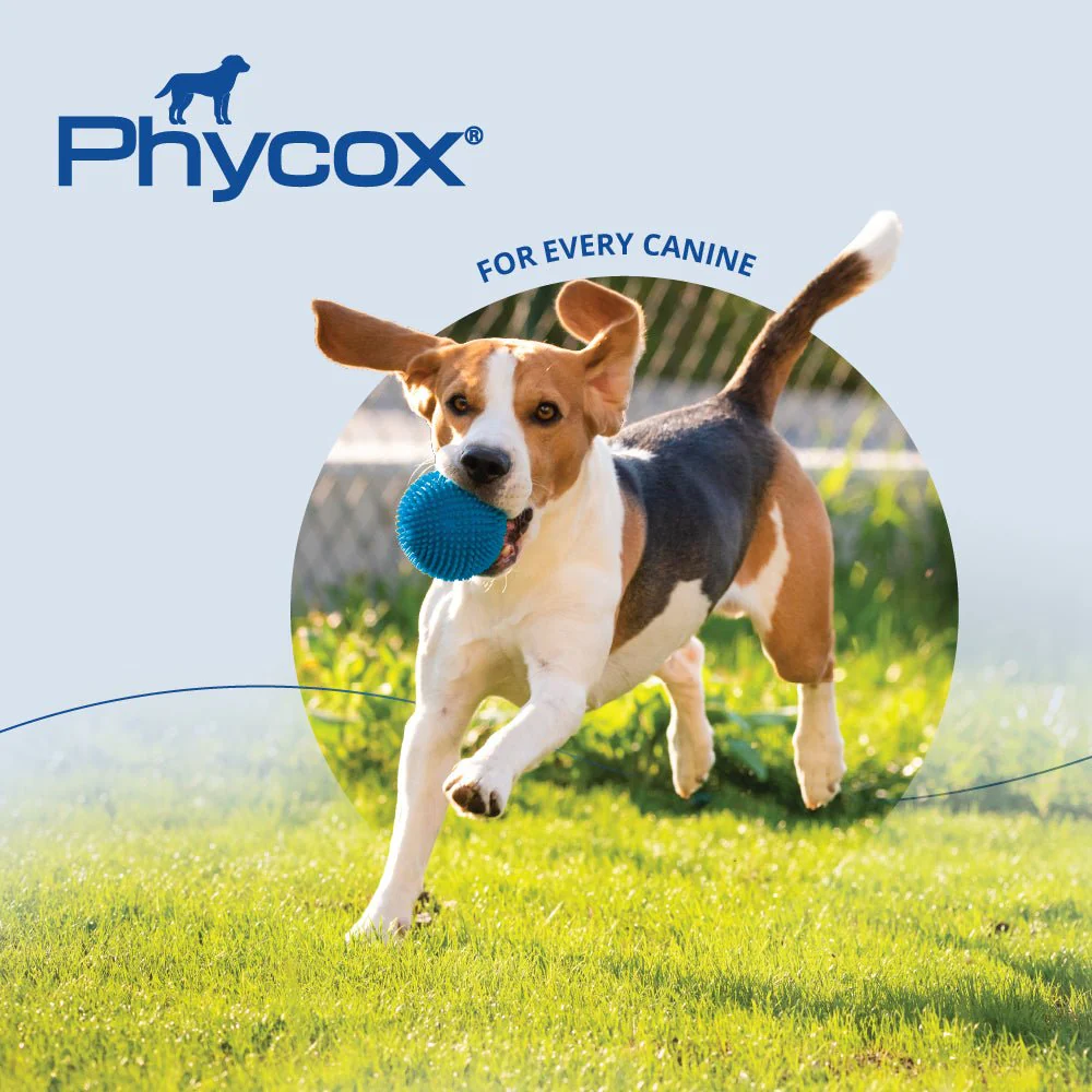 Phycox MAX Canine Joint Supplement Soft Chews, 90 ct - Image 2