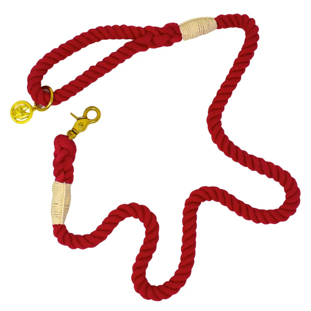 Pink Papyrus Rope Leash, 6 ft
