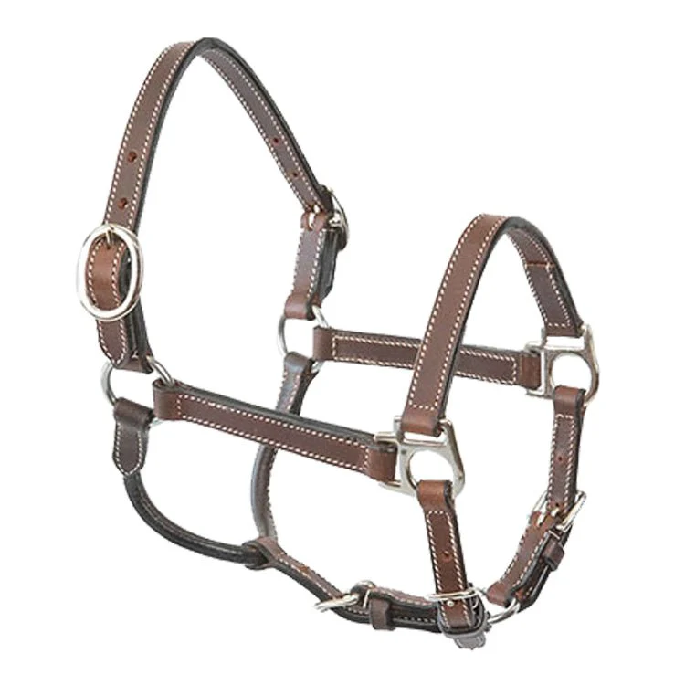 Pony Leather Halter - Image 1