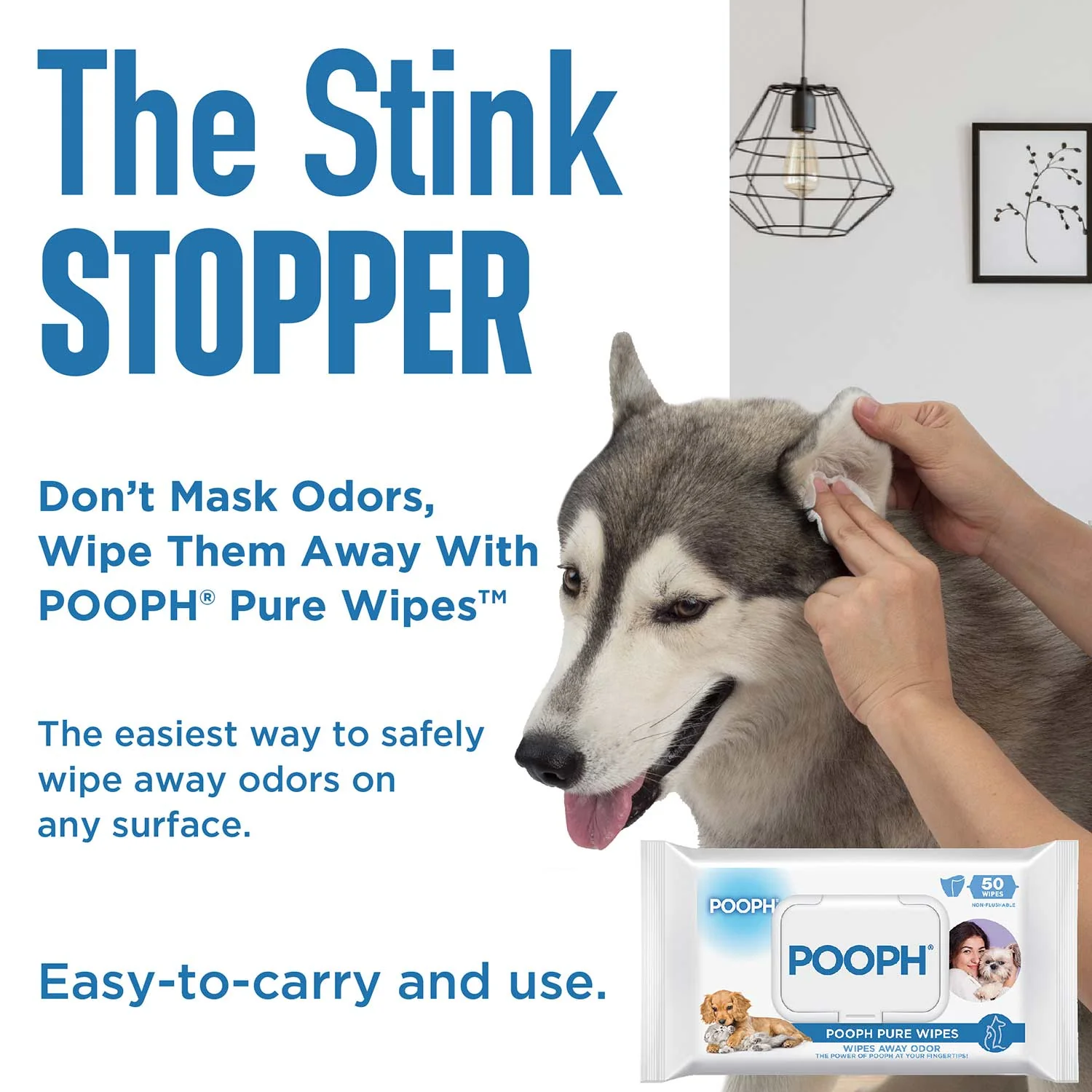 Pooph Pet Wipes Pack, 50 ct - Image 3