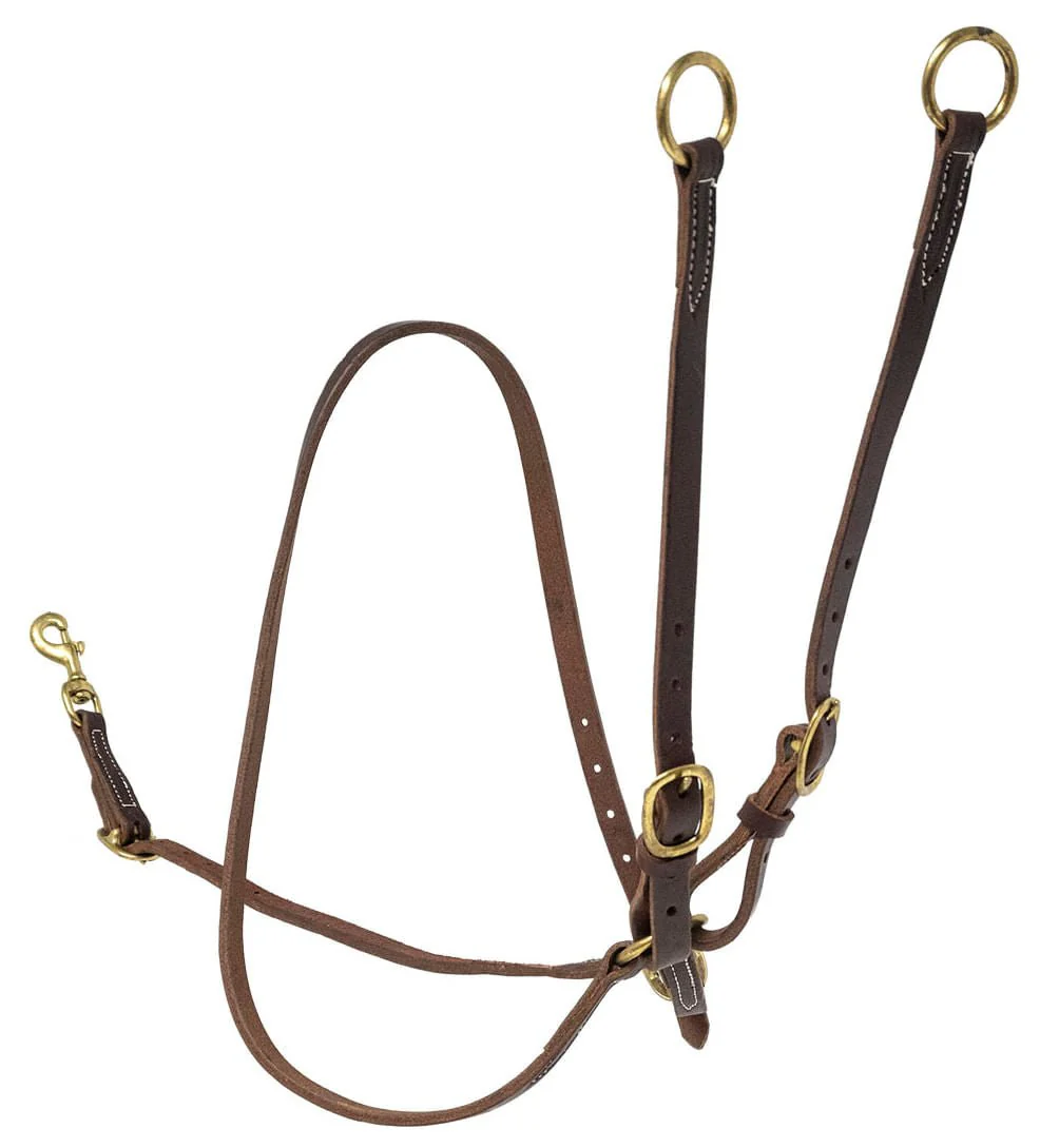Jeffers Poplar Head Premium Oiled Harness Leather Training Martingale - Image 1