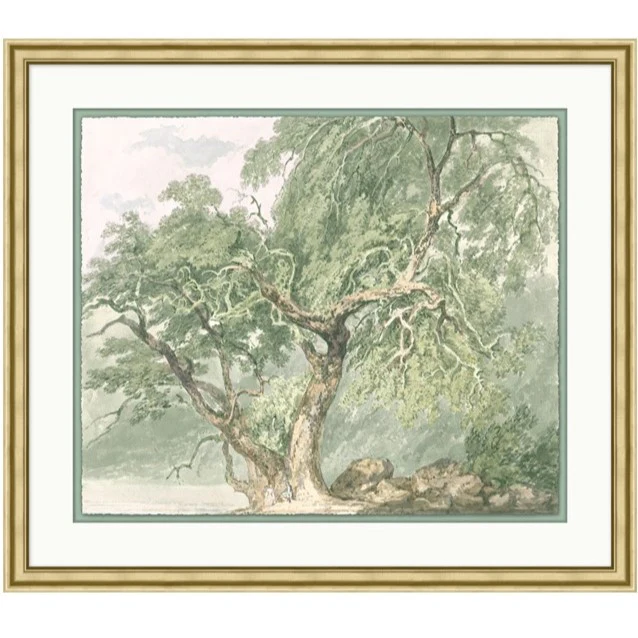 Leafy Study - Image 1
