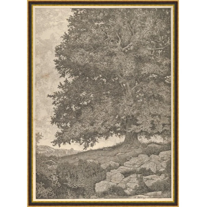 Rooted in Time - Image 1