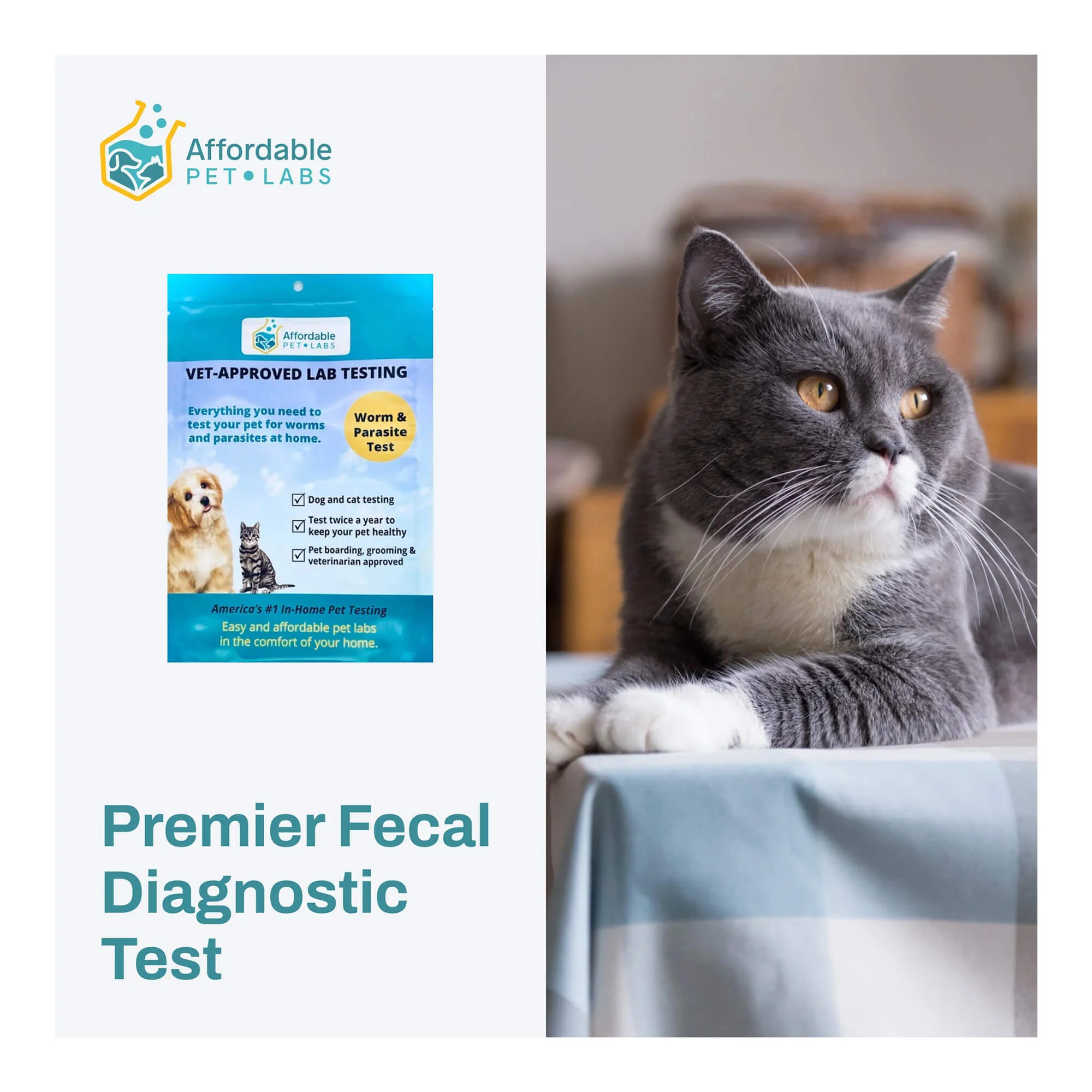 Premier Fecal Diagnostic Test For Cats, Easy Home Kit - Image 1