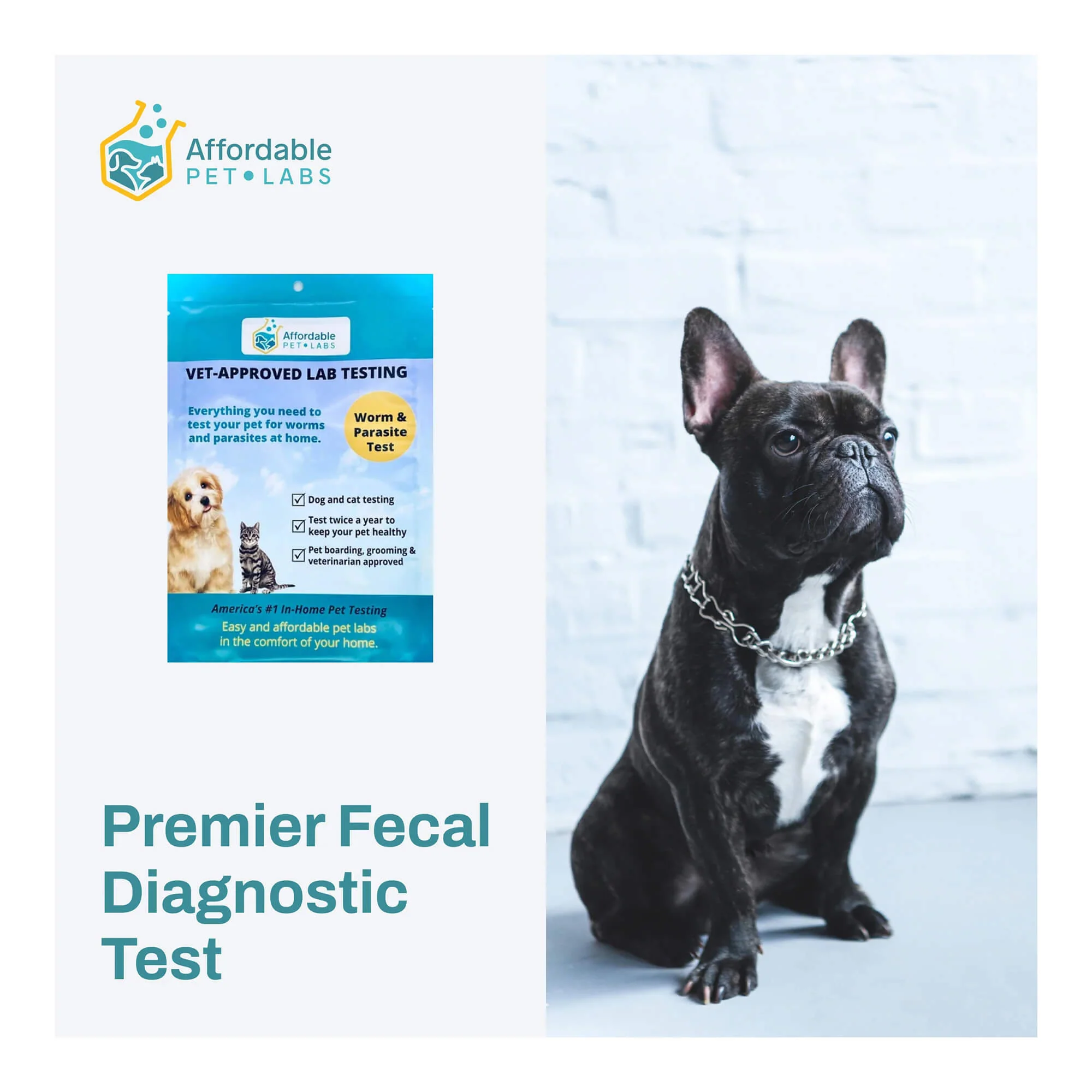 Premier Fecal Diagnostic Test For Dogs, Easy Home Kit - Image 1