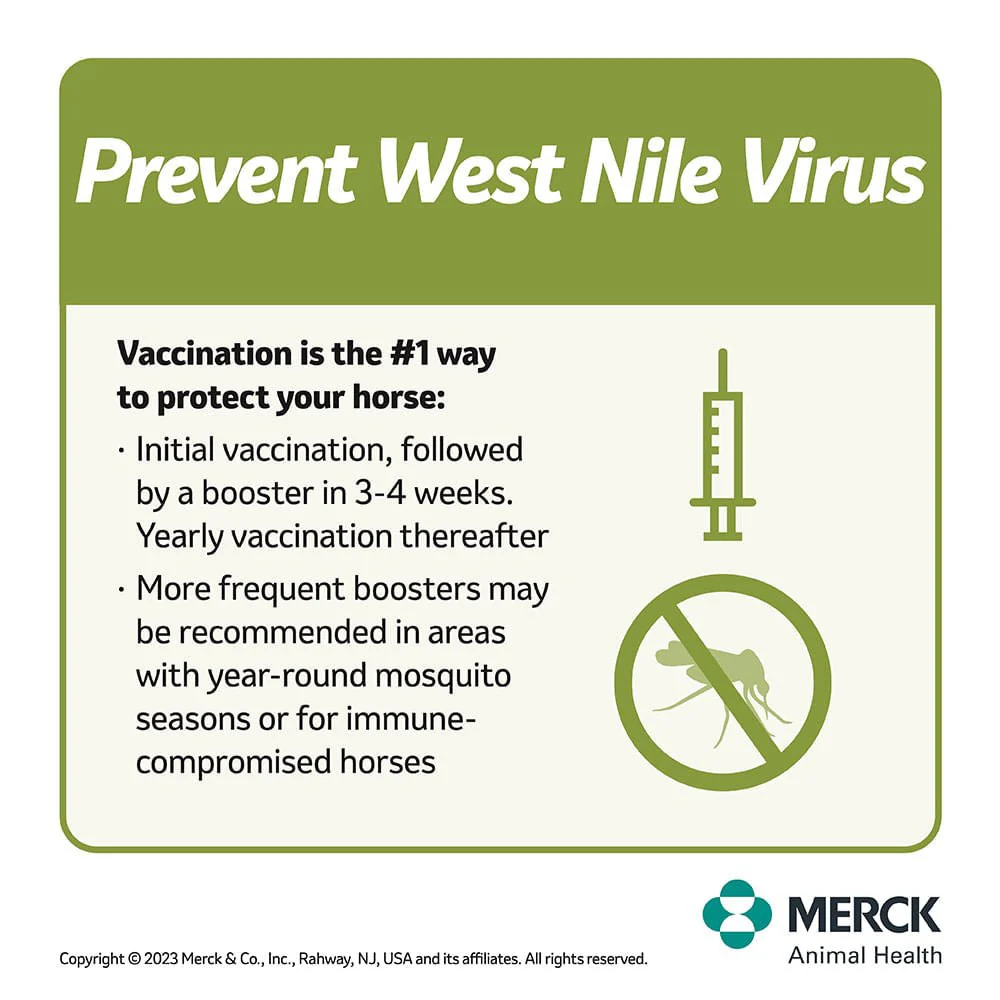 Prestige WNV Horse Vaccine - Image 2
