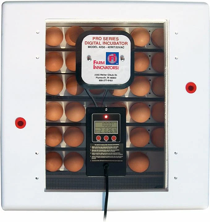 Pro Series Digital Incubator - Image 1