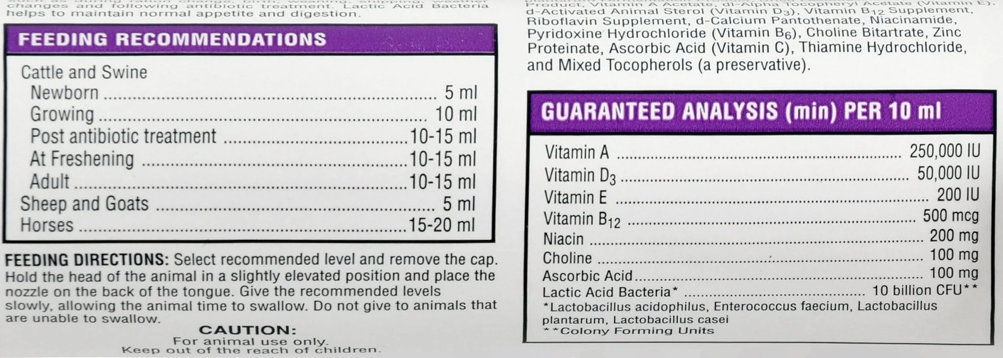 Probiotic Plus Paste - Image 3