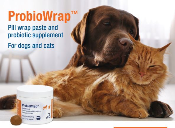 ProbioWrap Pill Wrap Paste with Probiotics, 4.2 oz - Image 2
