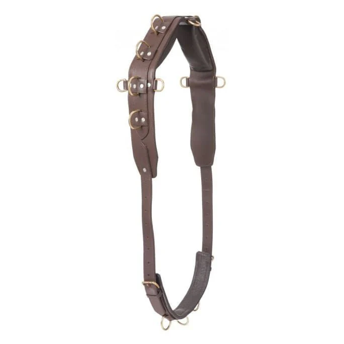 Professional Heavy Leather Surcingle - Image 1