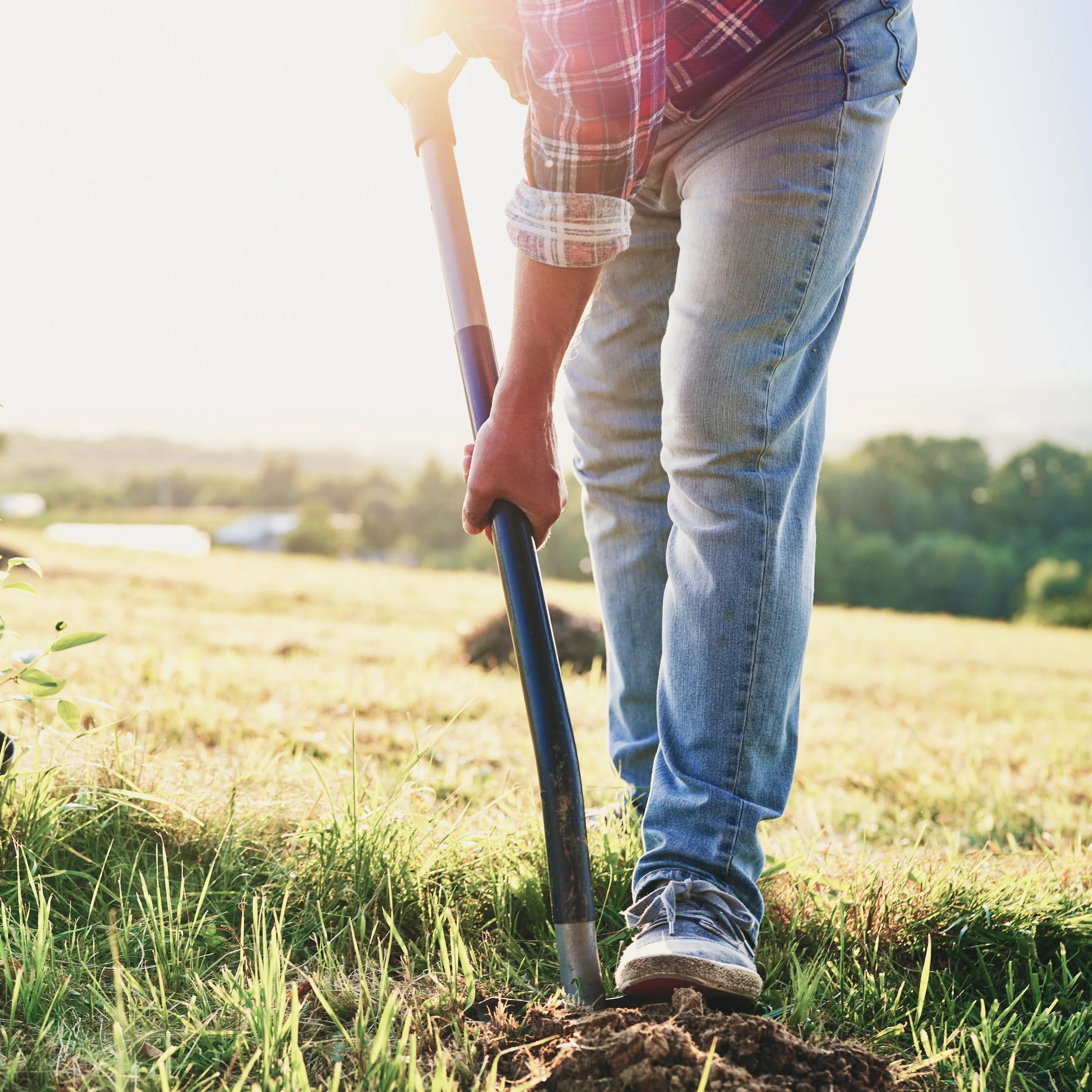 Planting Service