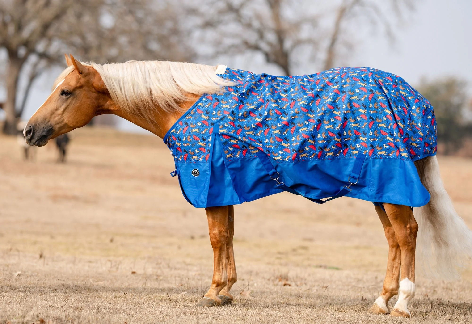 Professional's Choice 1200D Standard Neck Horse Sheet, "Raining Cats & Dogs" - Image 1