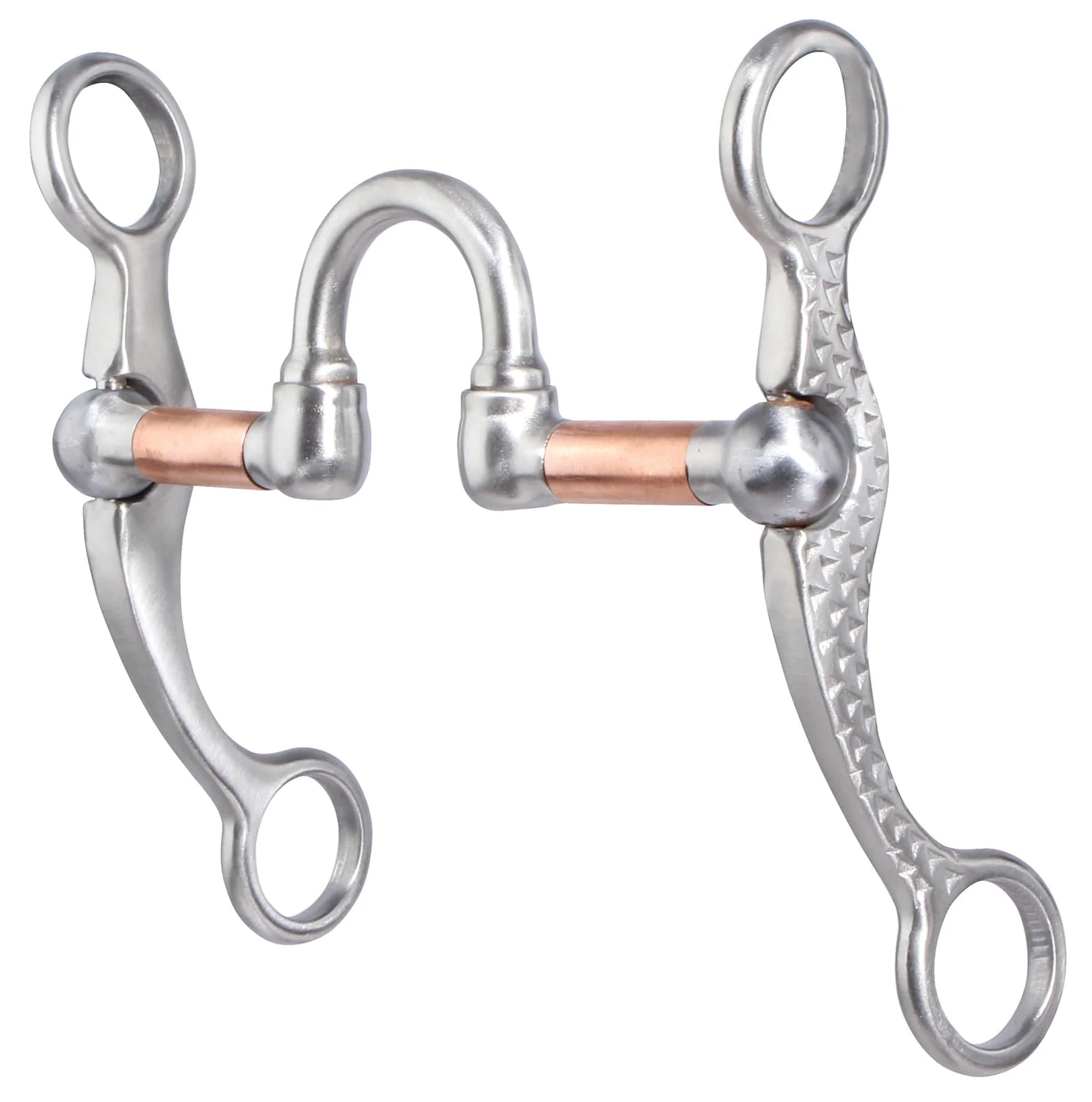 Professional’s Choice Correction Rasp Shank Bit - Image 1