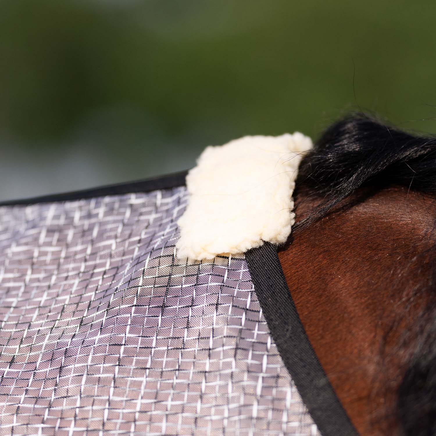 Professional's Choice Horse Fly Sheet - Image 3