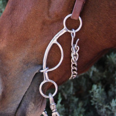 Professional's Choice Futurity Bit for Horses, 5.75" Mouth - Image 1