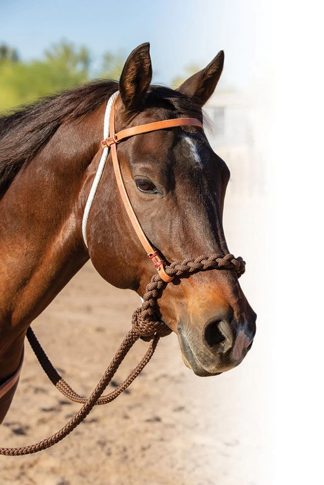 Professional's Choice Loping Hackamore - Image 1
