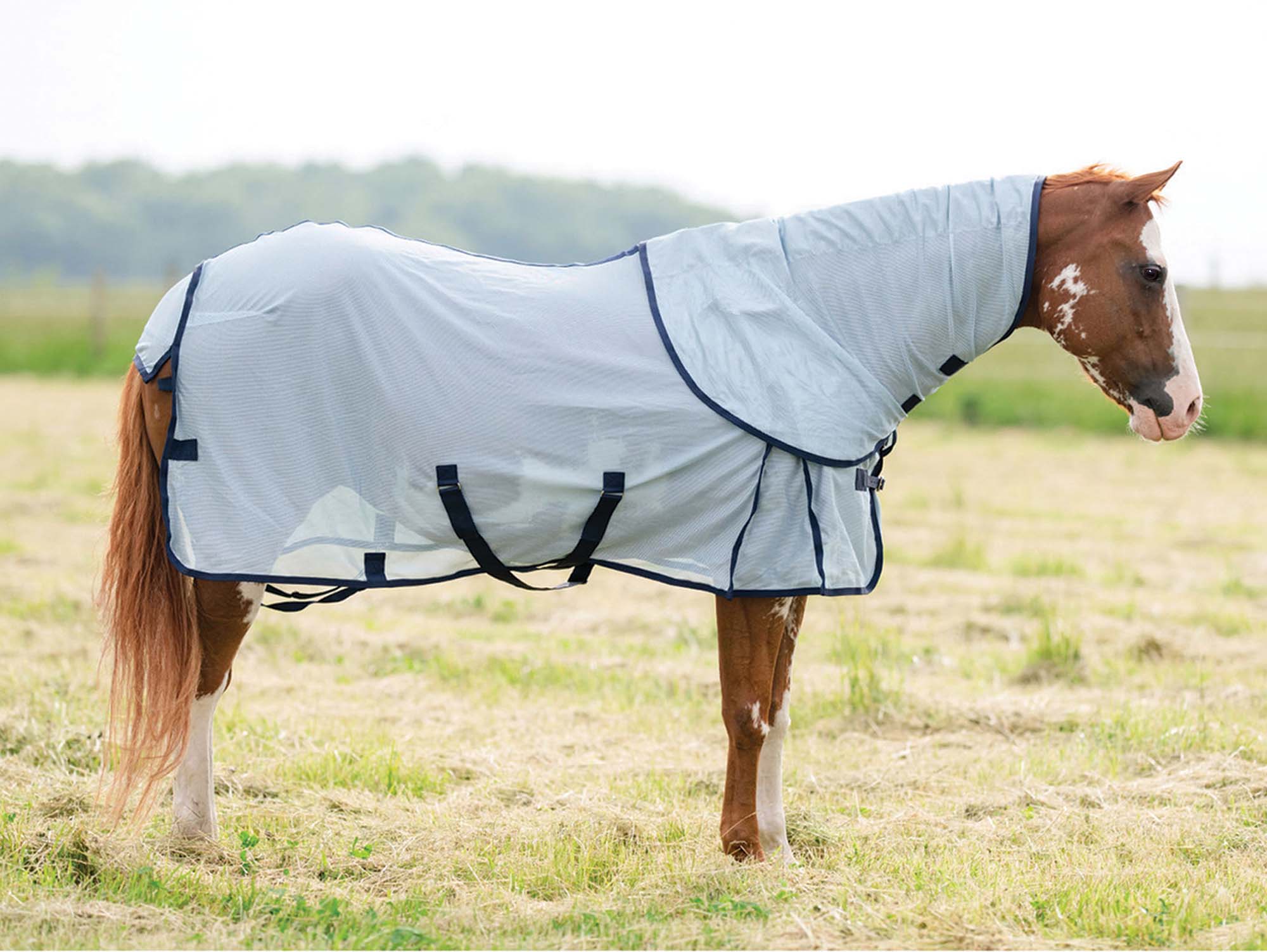 Professional's Choice Theramic Therapy Horse Fly Sheet - Image 1