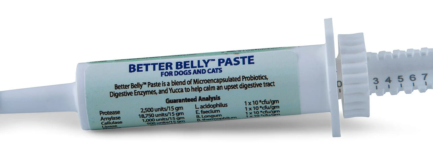 Prothrive Better Belly Probiotic Paste for Dogs & Cats - Image 2