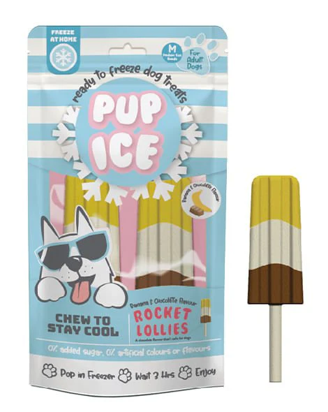 Pup Ice Rocket Lollies, 2 Pack – Freeze-at-Home Dog Treats - Image 1