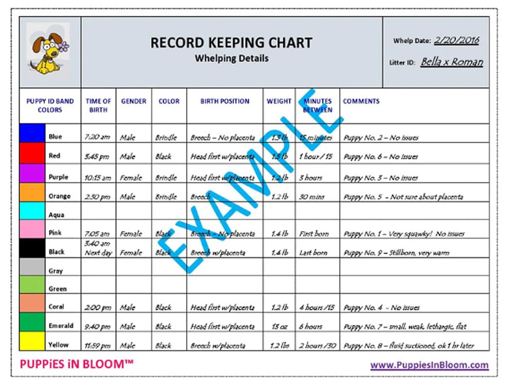 Puppies in Bloom Breeder Record Keeping Charts - Image 2