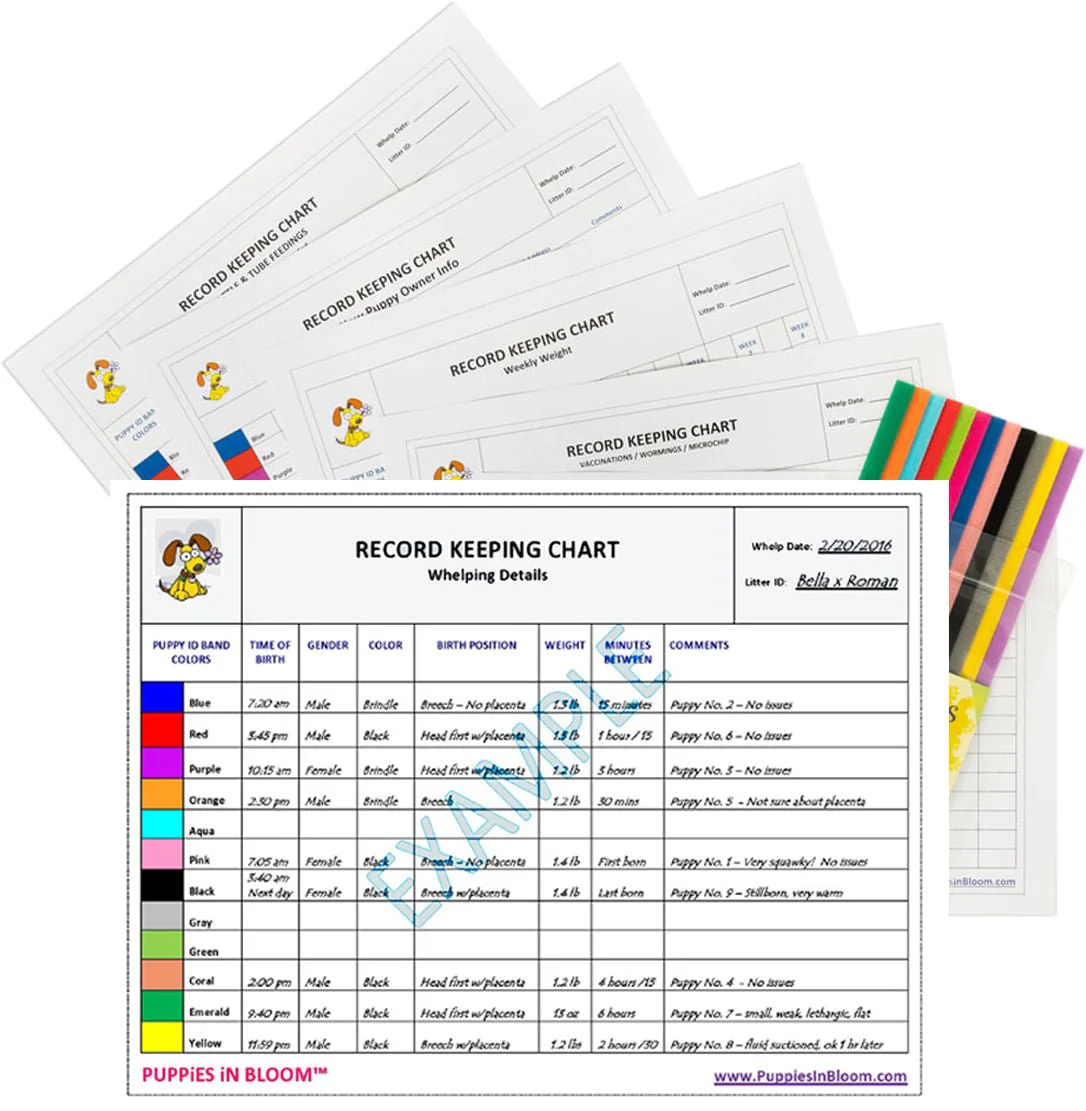 Puppies in Bloom Breeder Record Keeping Charts - Image 1