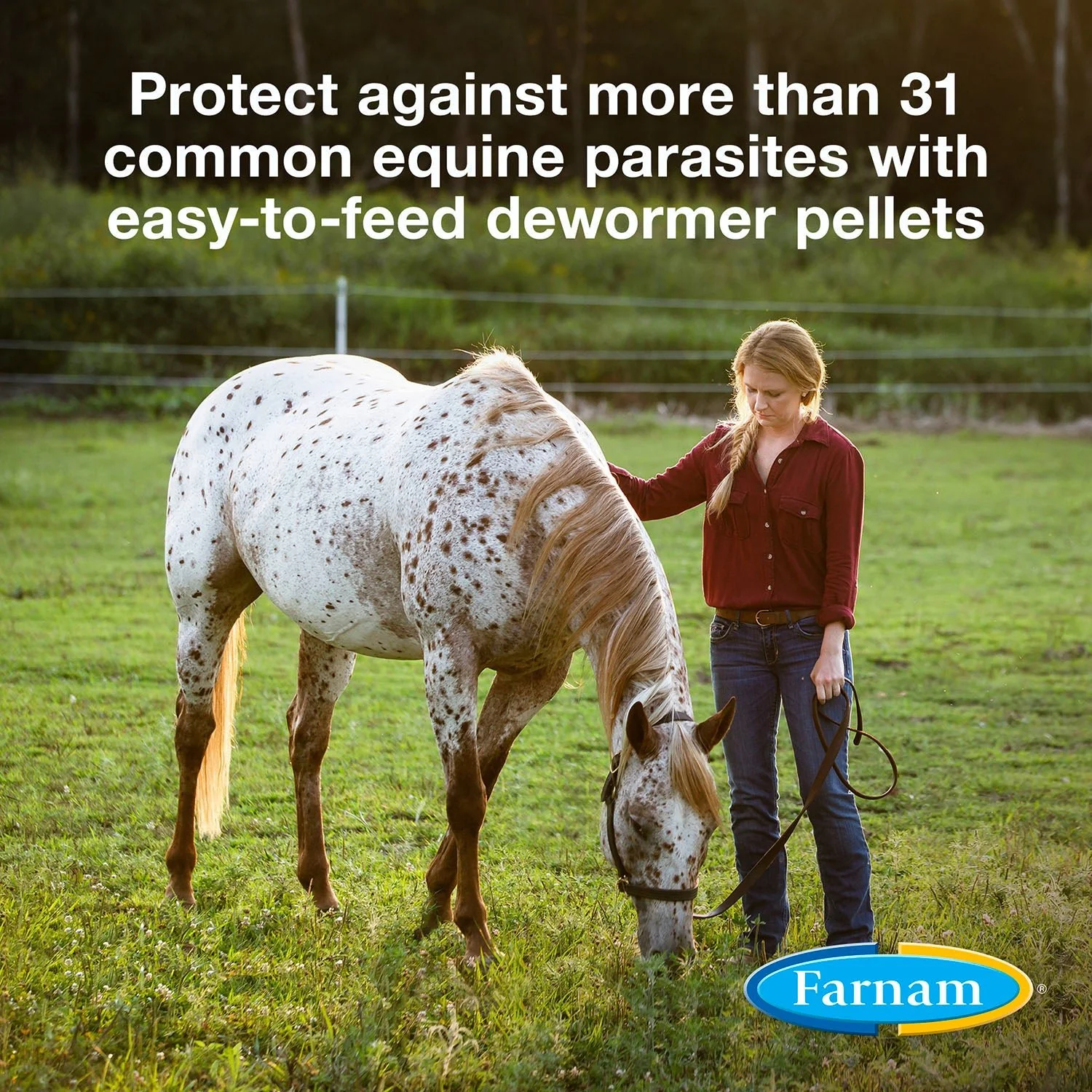 PyrantelCare Daily Dewormer 2.11%, 50 lb - Image 3