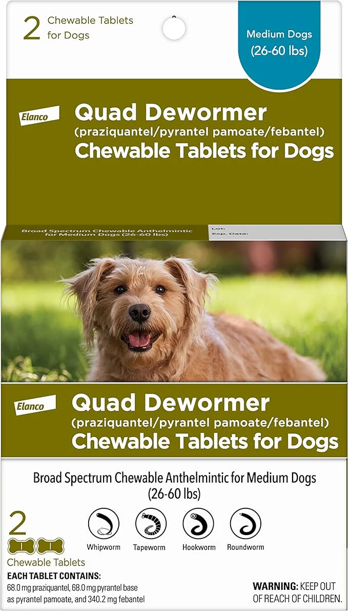 Quad Dewormer Chewable Tablets for Dogs - Image 1