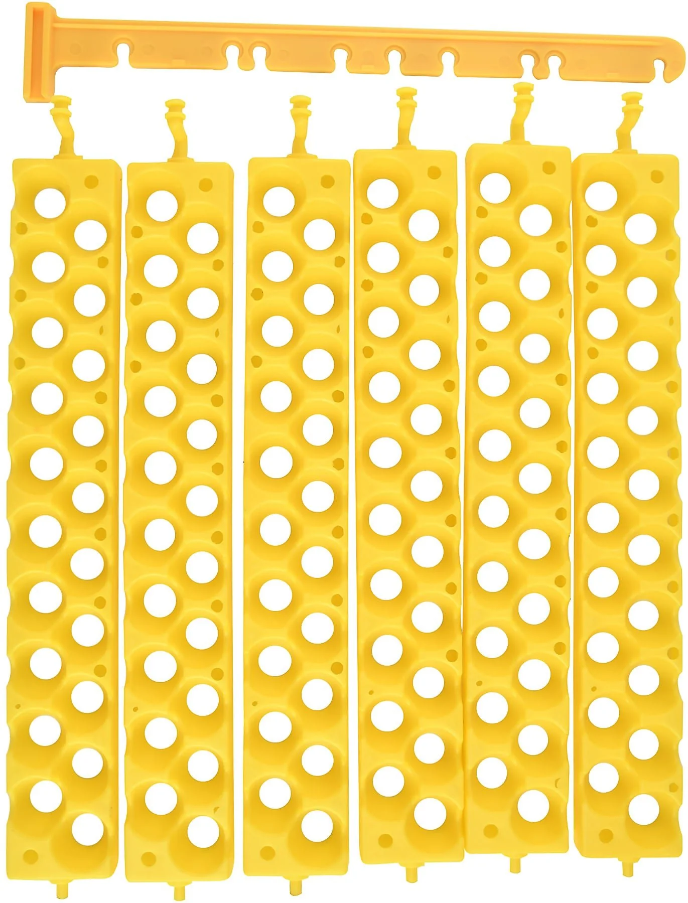 Quail Egg Racks, 6 Pack - Image 1