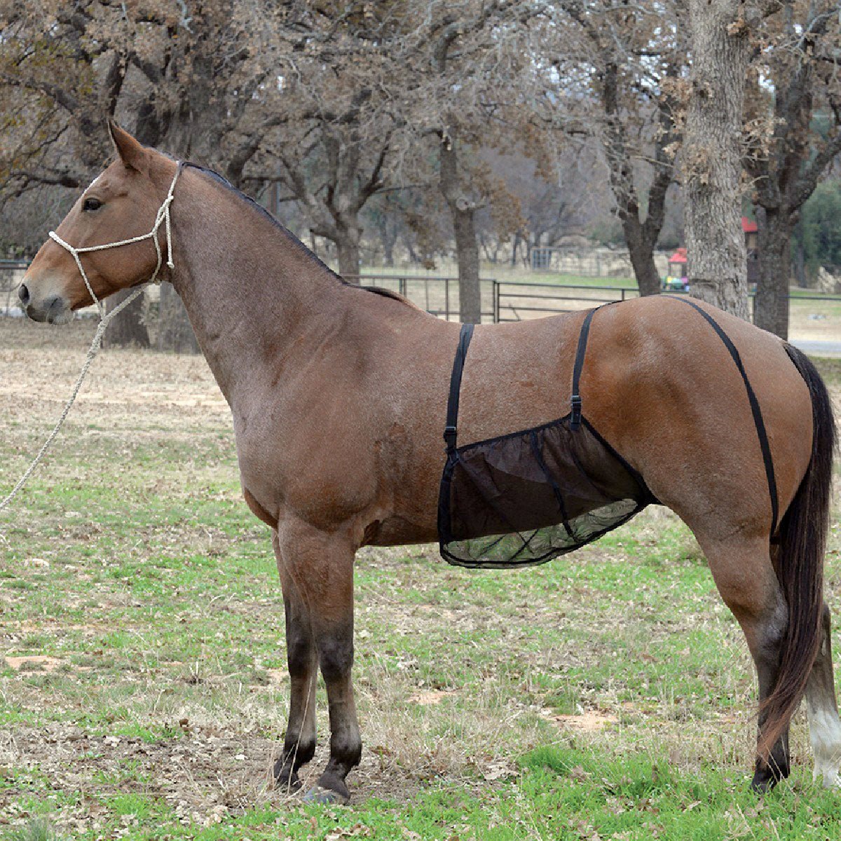 Quiet Ride Fly Protection Belly Guard for Horses - Image 1