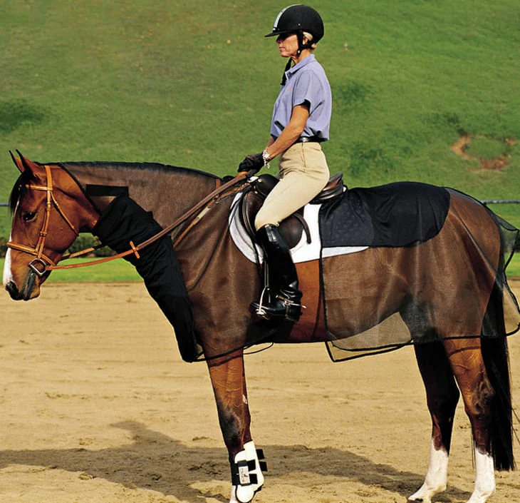 Cashel Quiet-Ride Bug Armor for Horses - 2 Piece Riding Fly & Insect Protection Set - Image 1