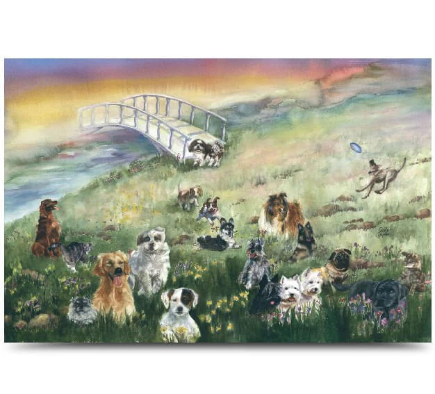 Rainbow Bridge Pet Sympathy Card - Image 1