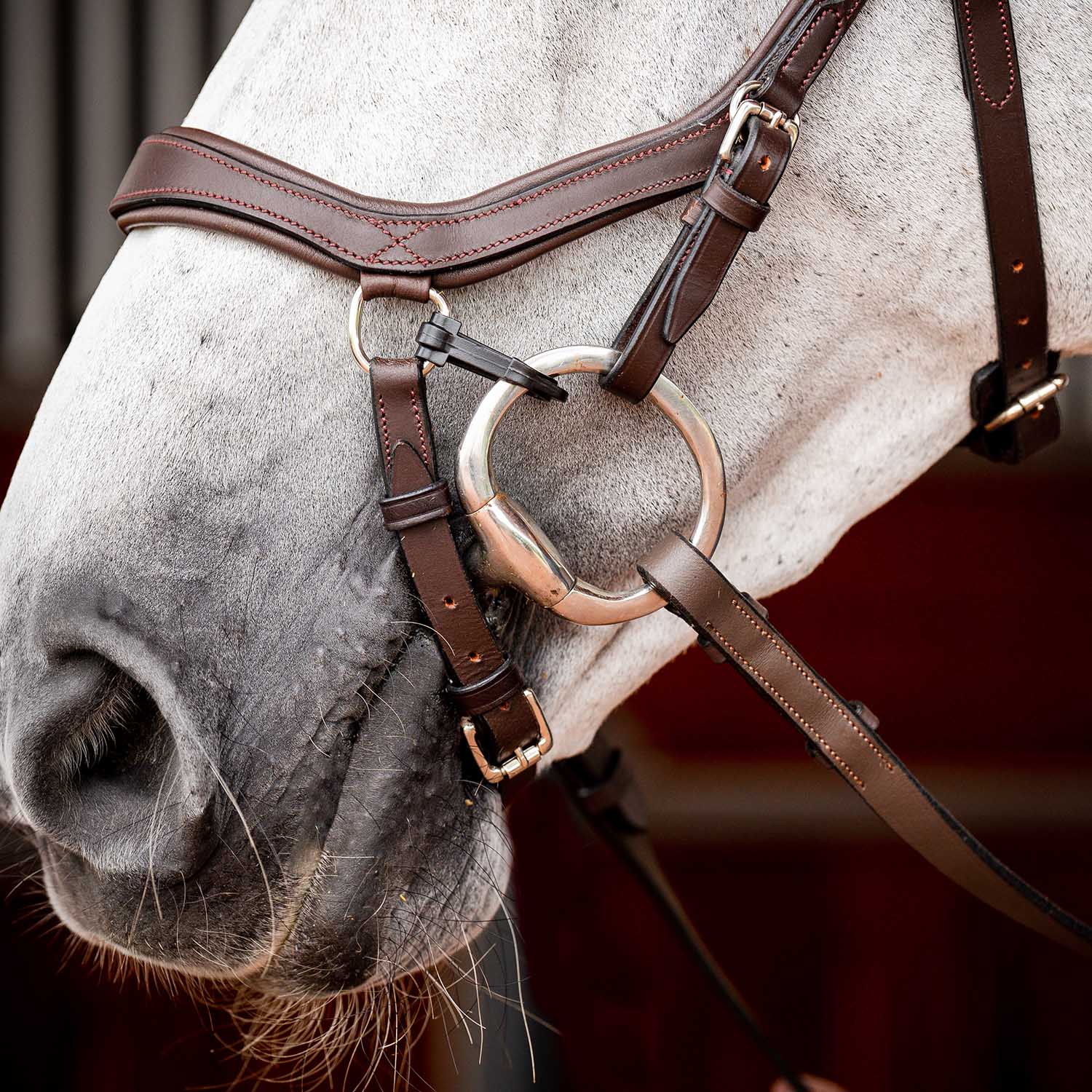 Rambo 2.0 Micklem Competition Leather Horse Bridle with Reins - Image 3
