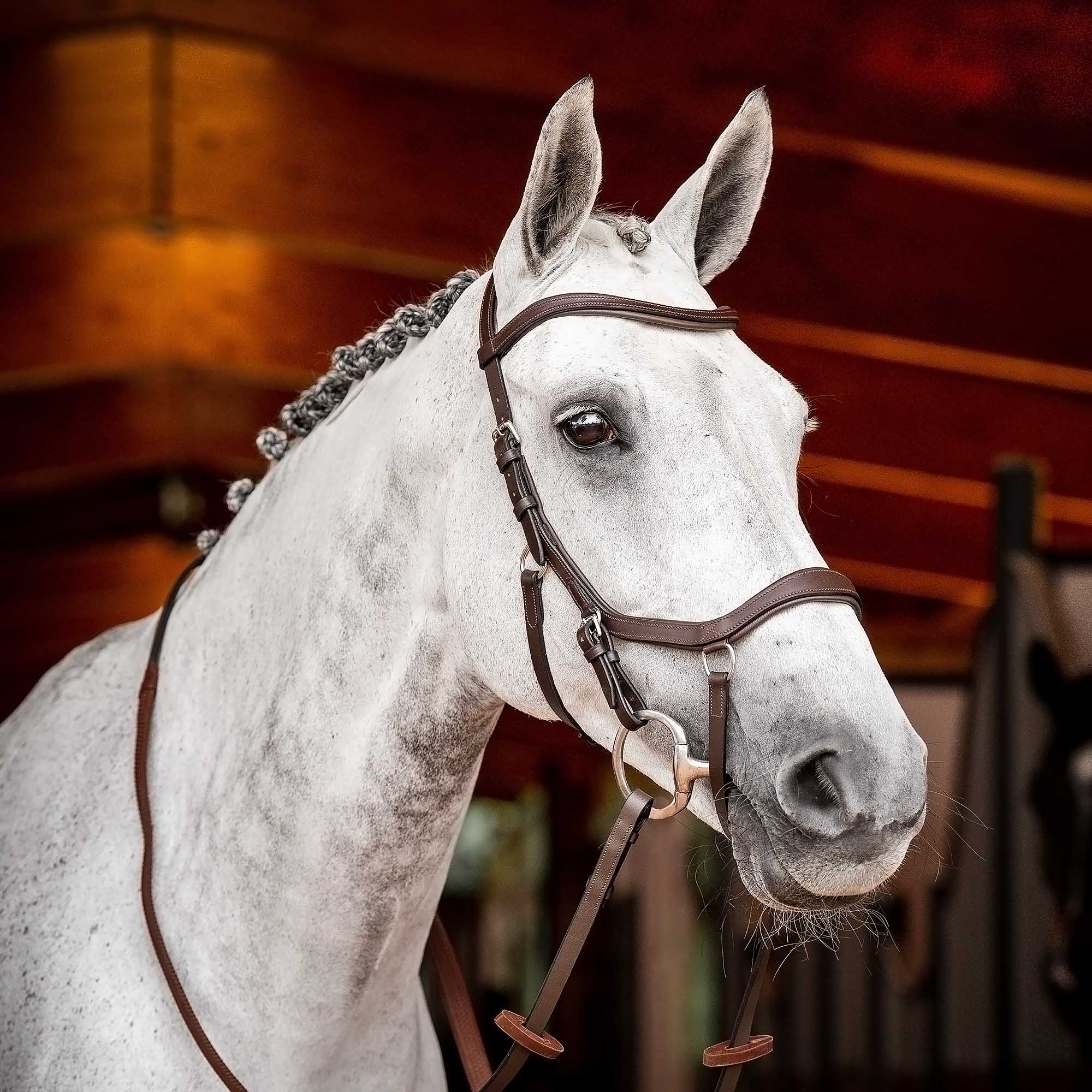 Rambo 2.0 Micklem Competition Leather Horse Bridle with Reins - Image 1
