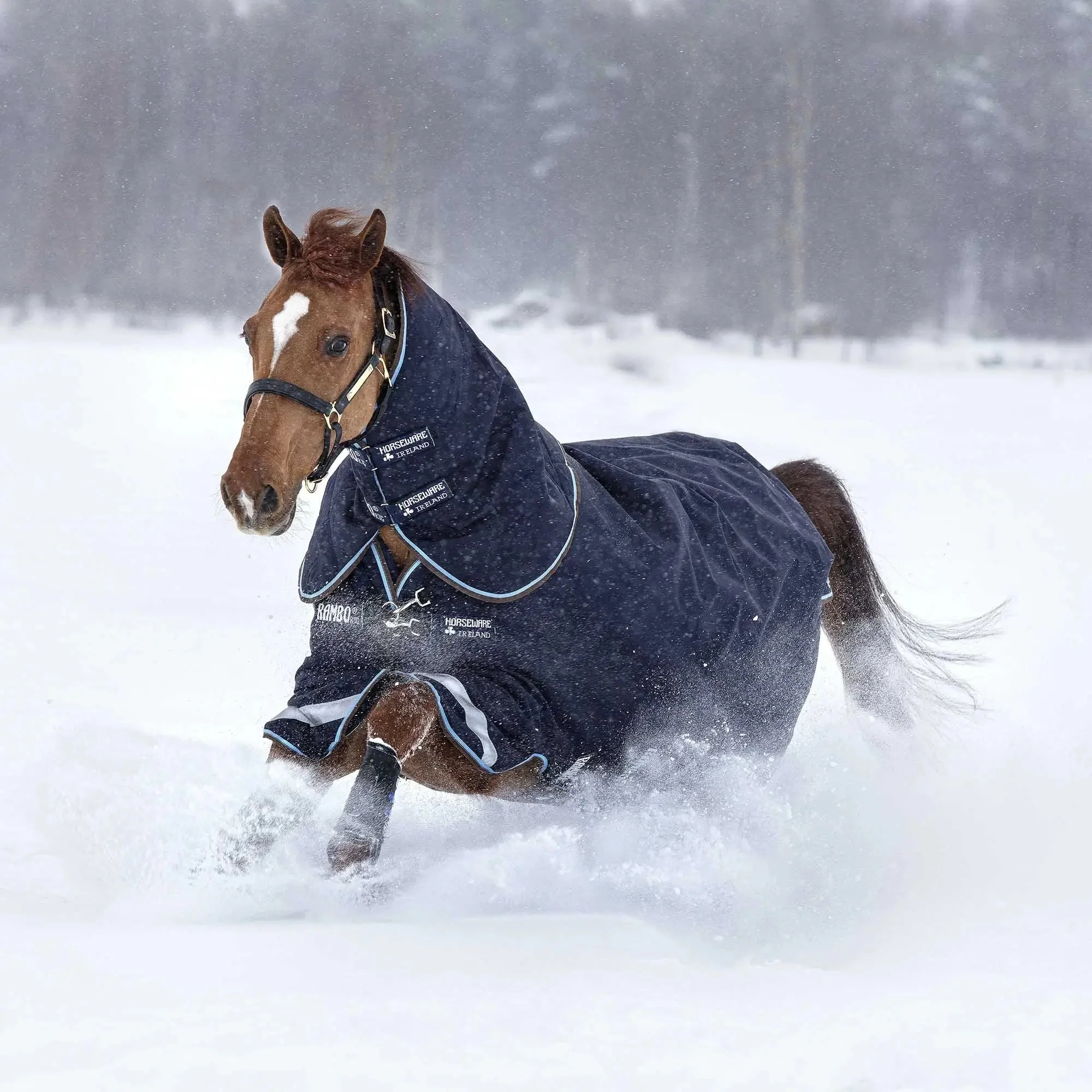 Rambo Duo Horse Turnout Blanket with Removable Liner, 1000D - Image 2