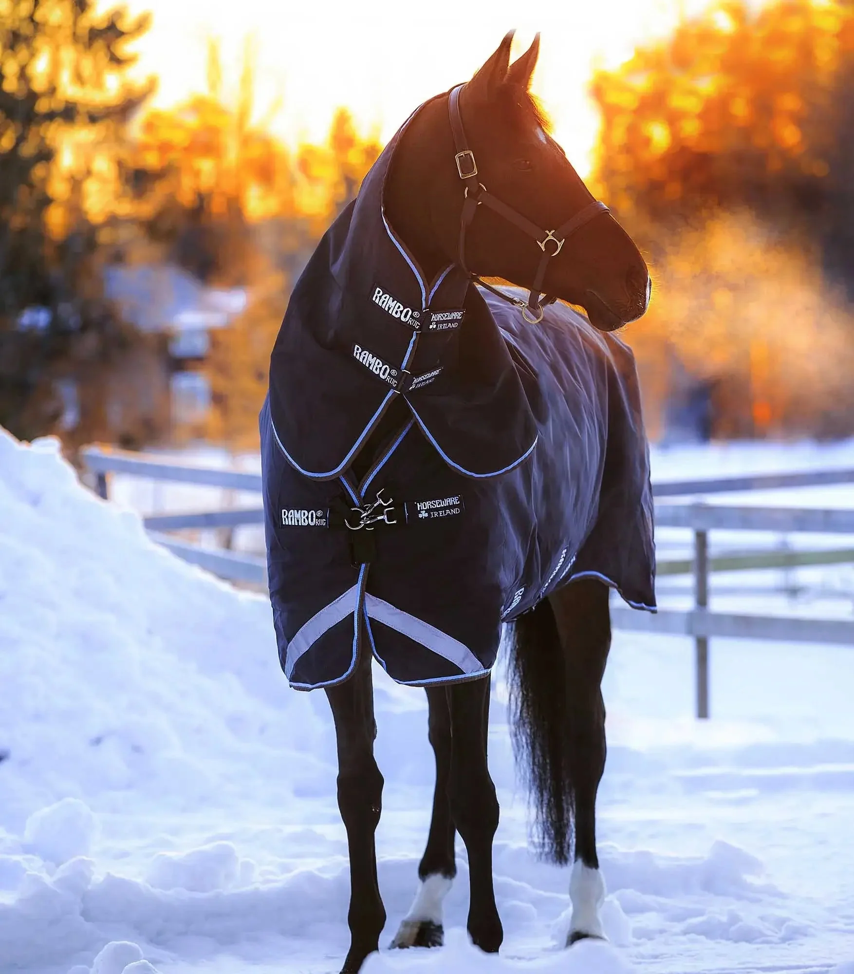 Rambo Duo Horse Turnout Blanket with Removable Liner, 1000D - Image 3