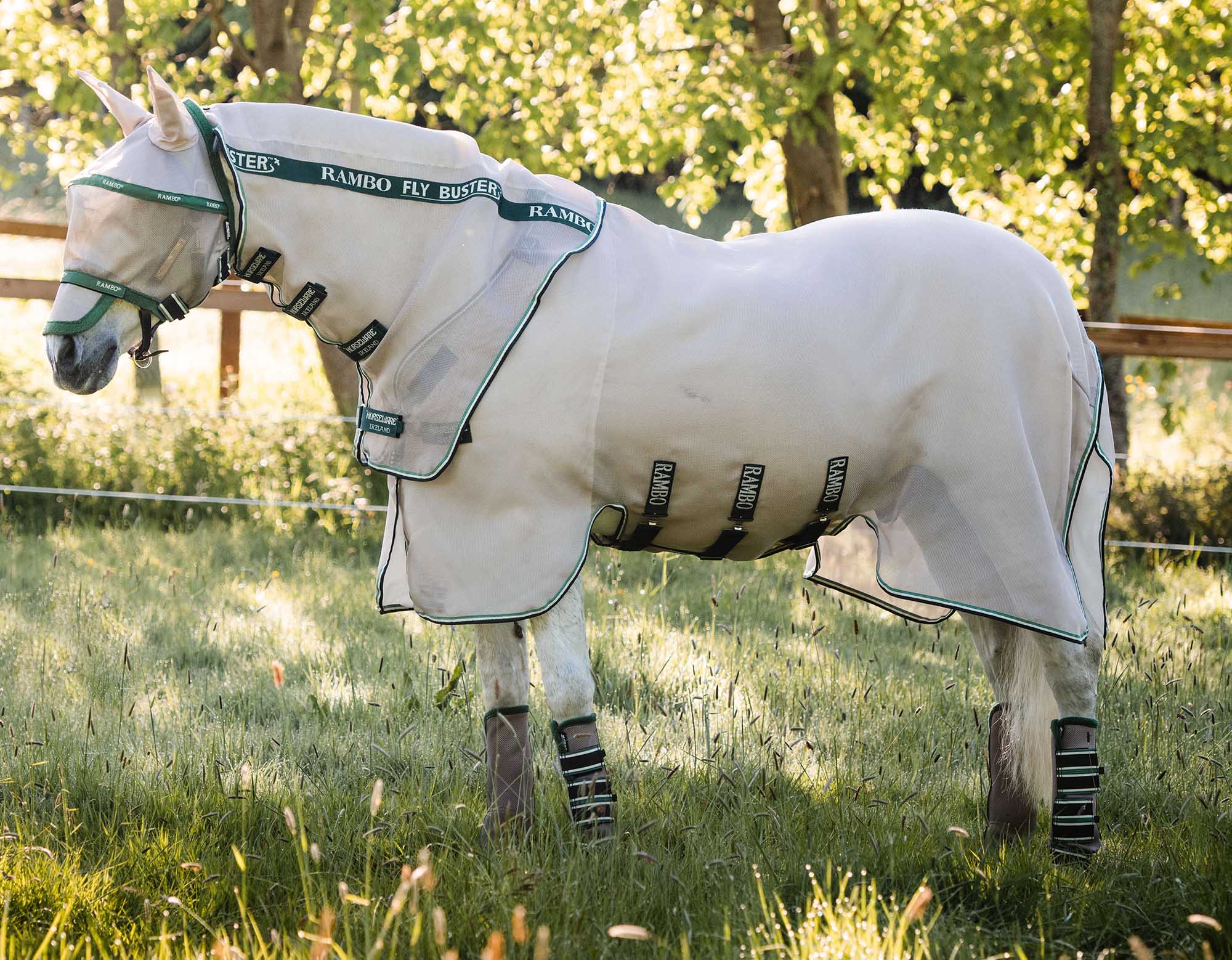 Rambo Fly Buster Vamoose with No-Fly Zone Horse Fly Sheet - Image 1