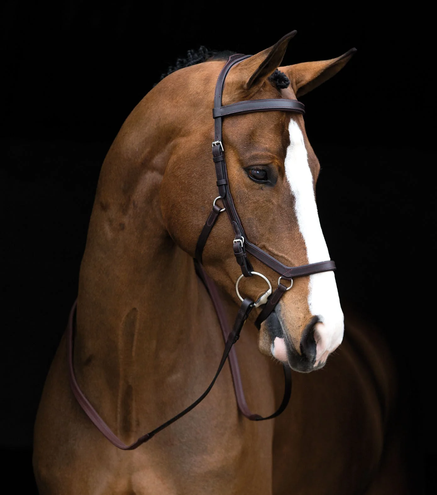 Rambo Micklem Competition Bridle, Dark Havana - Image 1