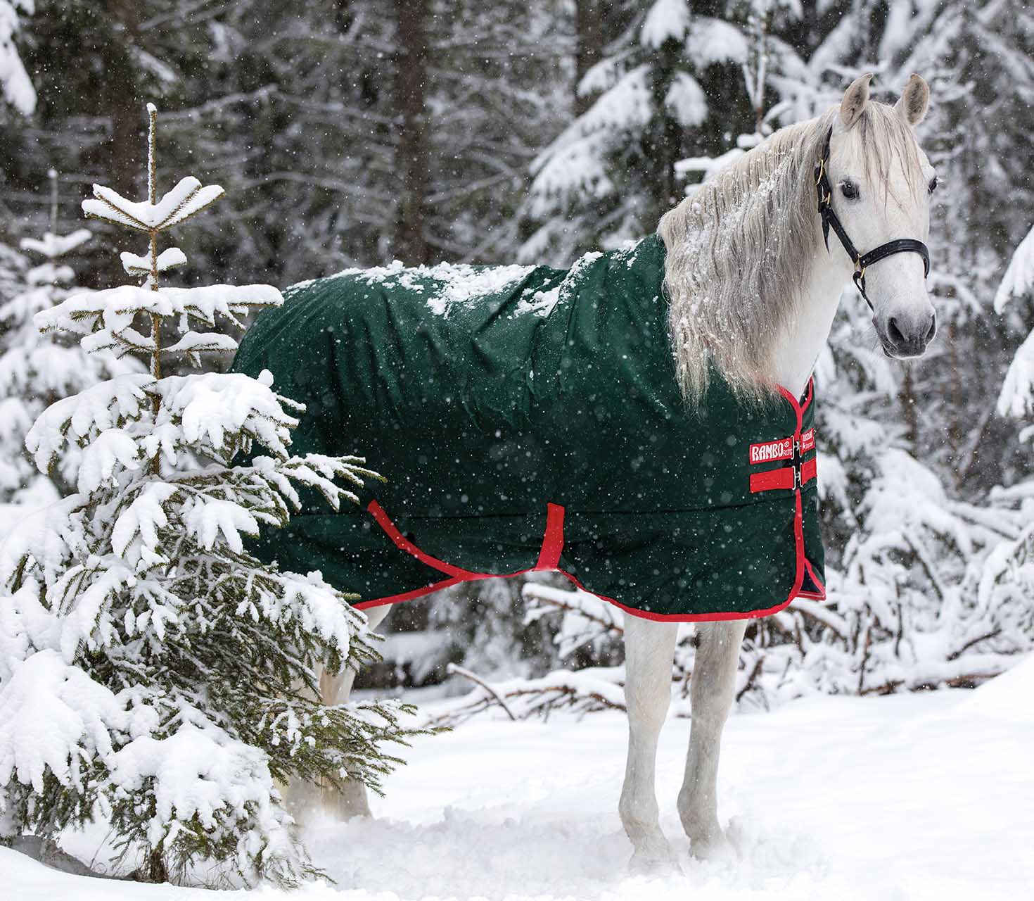 Rambo Original Horse Blanket, 1000D, 400g Heavy - Image 1