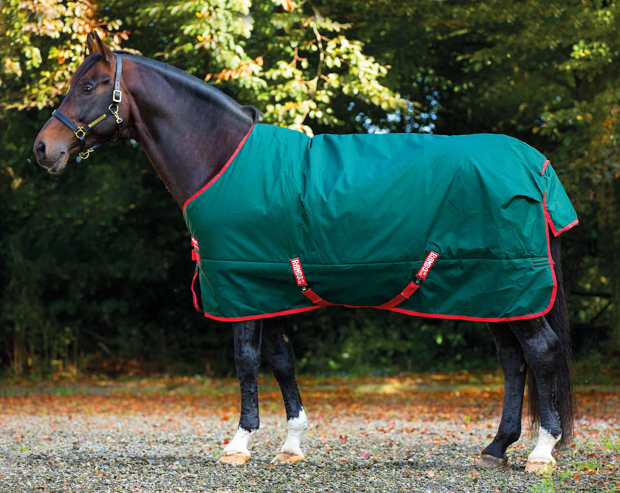 Rambo Original Horse Blanket, Lite, 1000D, 0 Grams - Image 1