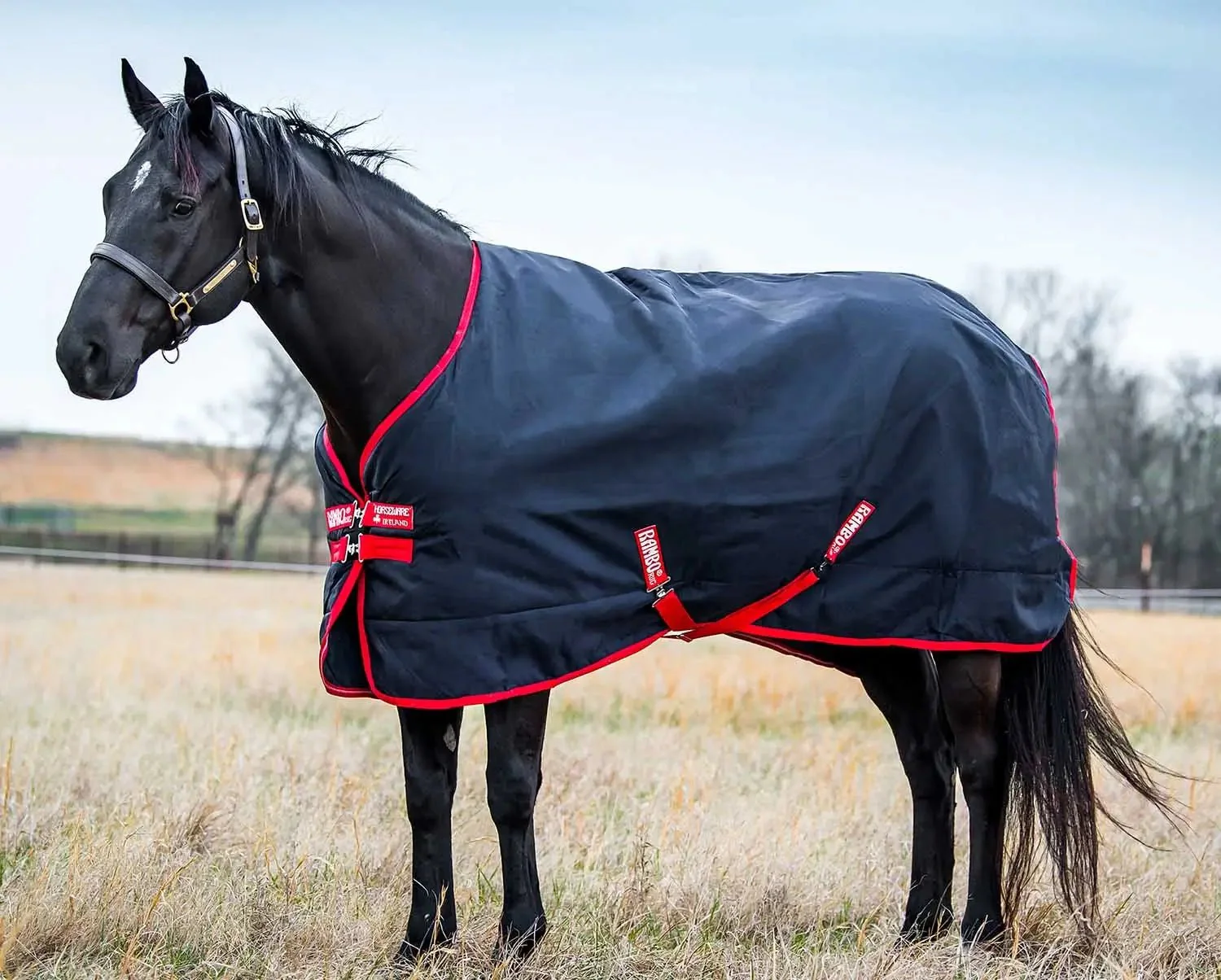 Rambo Original Medium Blanket, 1000D, 200 Grams - Image 1