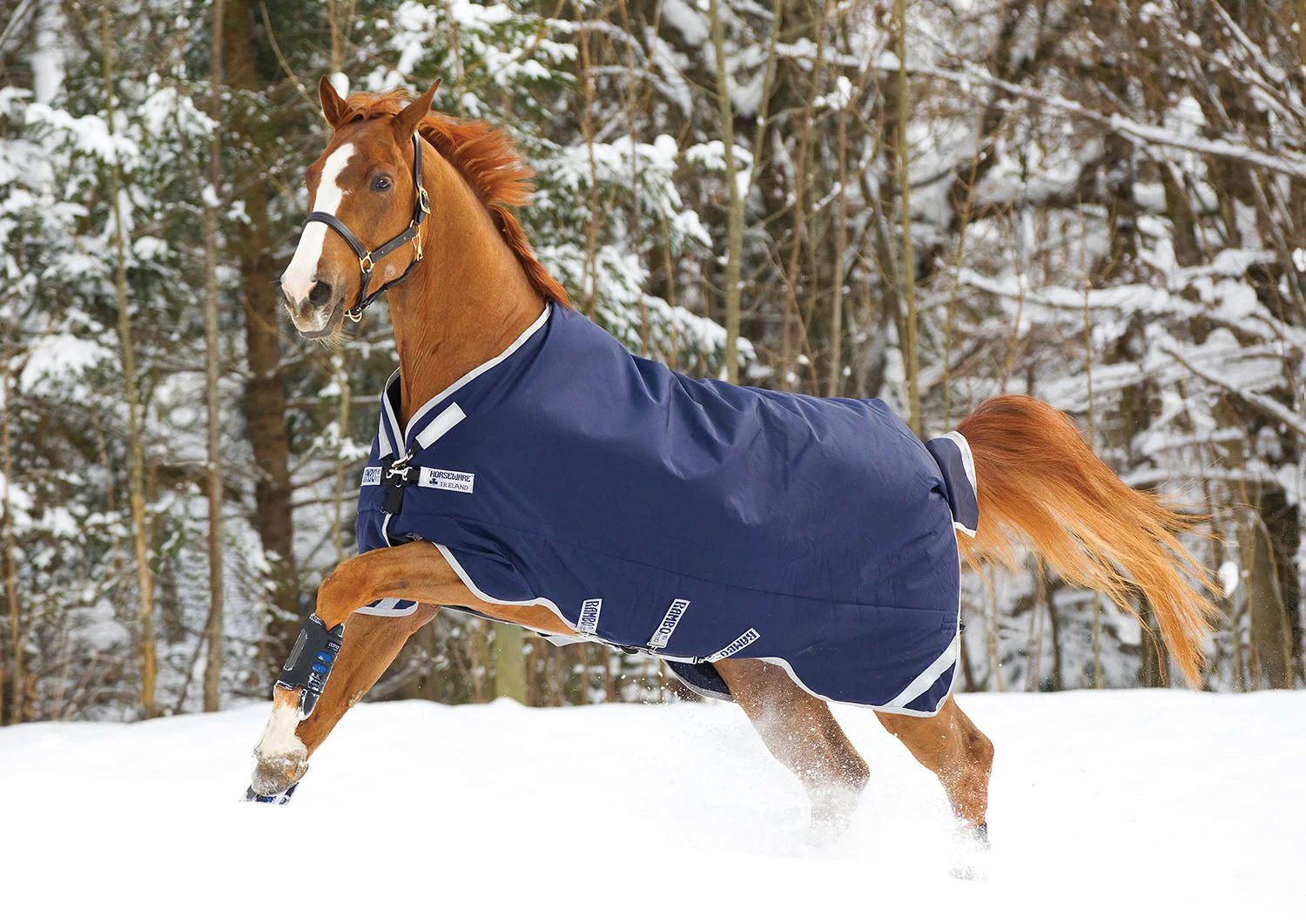 Rambo Original Turnout Blanket with Leg Arches, 200 Gram, Navy/Silver - Image 1
