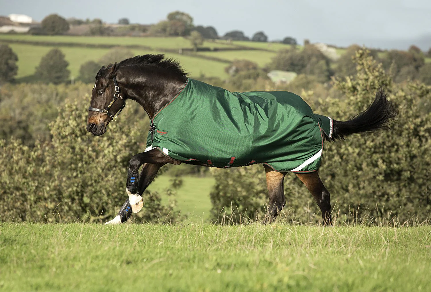 Rambo Original Turnout Rug with Leg Arches, 1000D, 100 Gram, Green/Red - Image 1