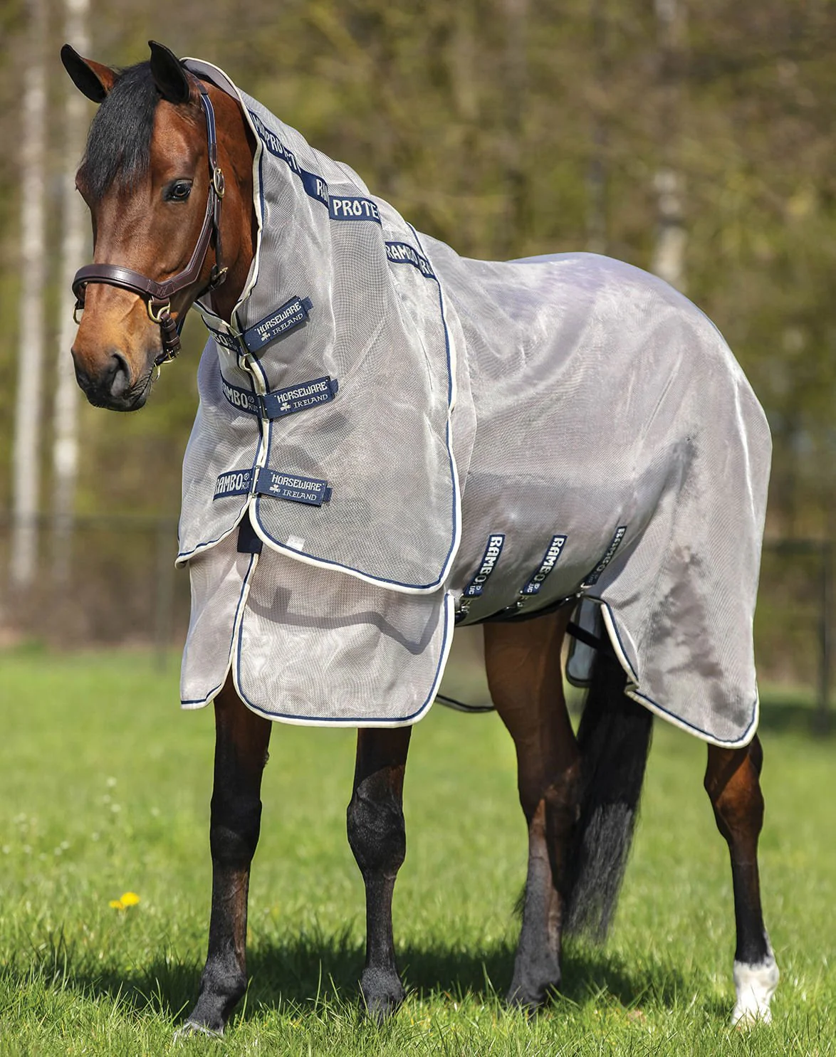 Rambo Protector Horse Fly Sheet - Image 2