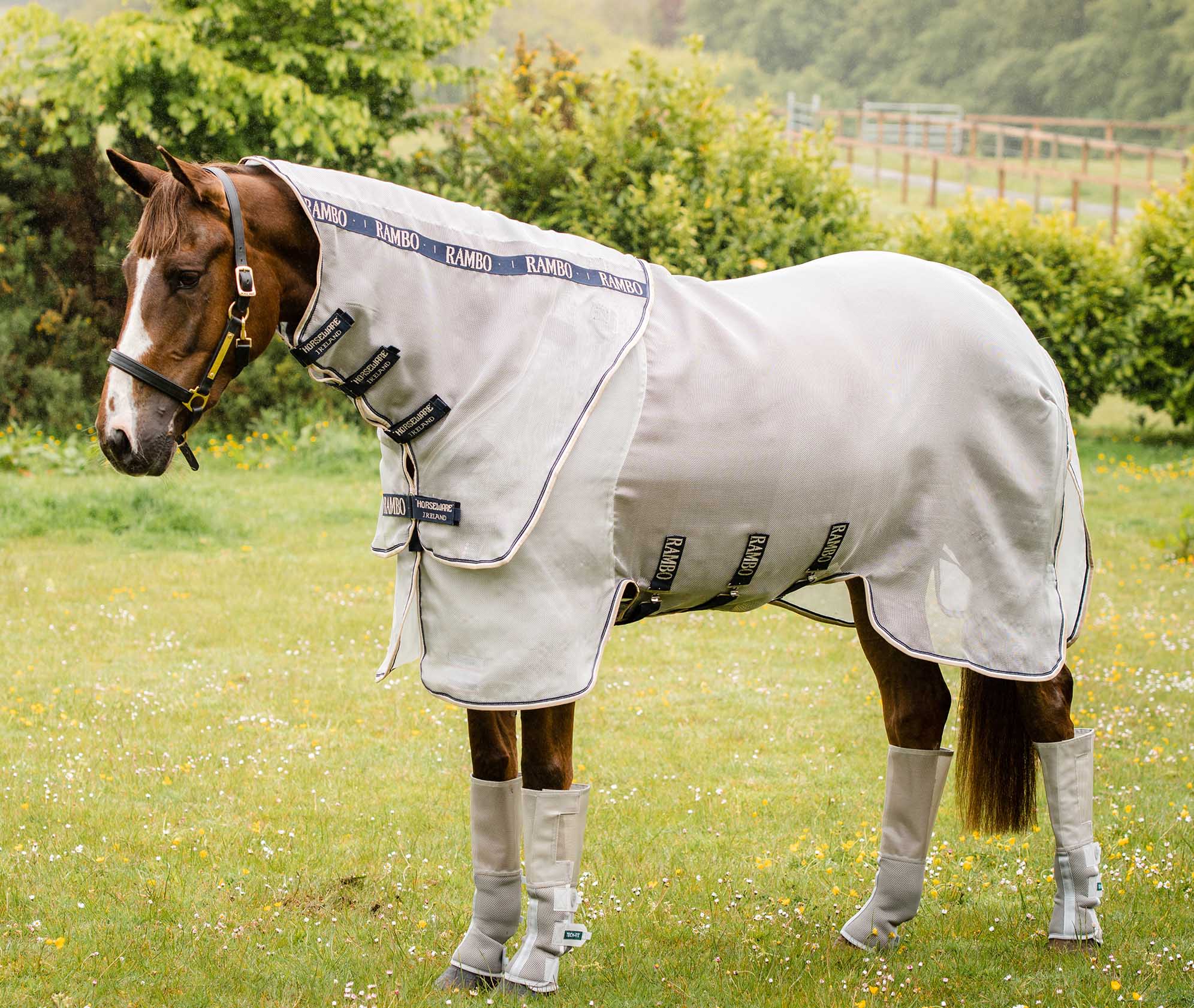 Rambo Protector Horse Fly Sheet - Image 1