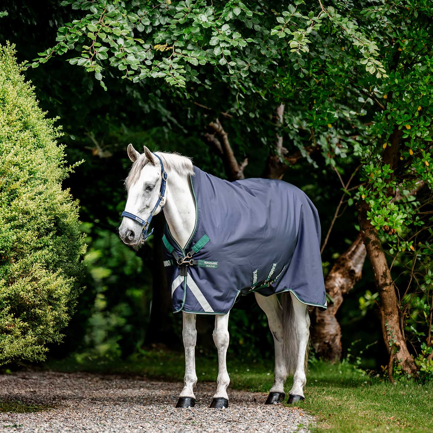 Rambo Wug 1680D High Neck Horse Turnout Blanket - 200g Medium Weight - Image 1