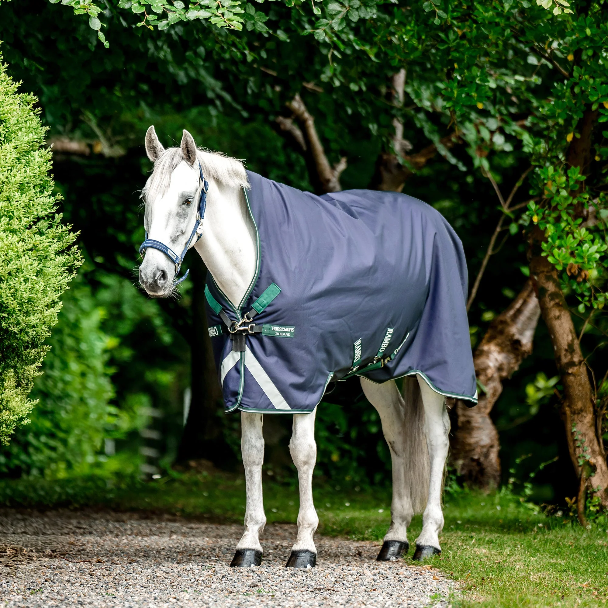 Rambo Wug Turnout, 1000D, 400 gram, Navy/Hunter Green - Image 1