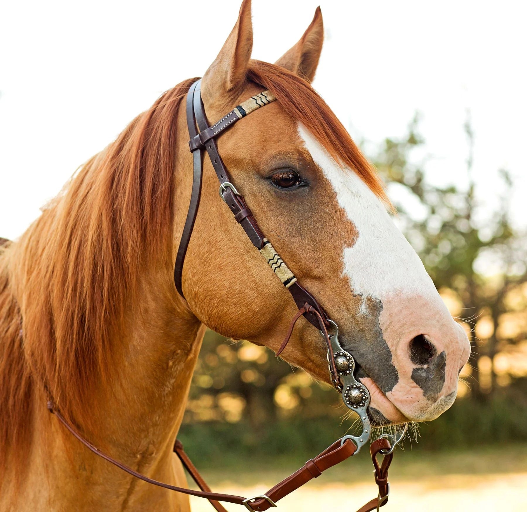 Rawhide Braided Browband Headstall - Image 2