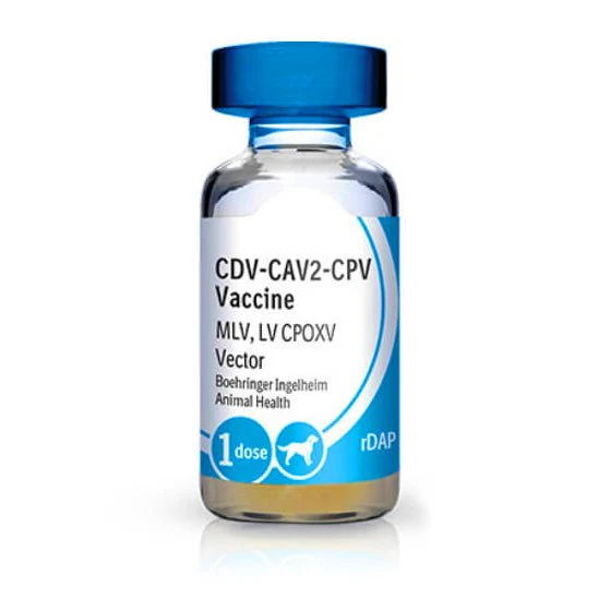 Recombitek C-3 Dog Vaccine (25 x 1ml) - Image 1